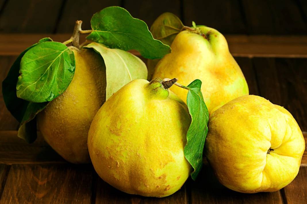 Ayvayı yıllardır yanlış yemişiz! Uzmanlar ayvayı yemenin en sağlıklı yöntemini anlattı 9